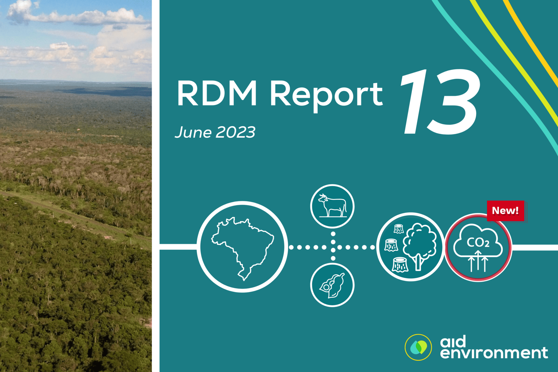 Realtime Deforestation Monitoring Report Rdm June