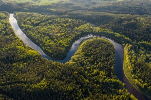 Real-time Deforestation Monitoring report
