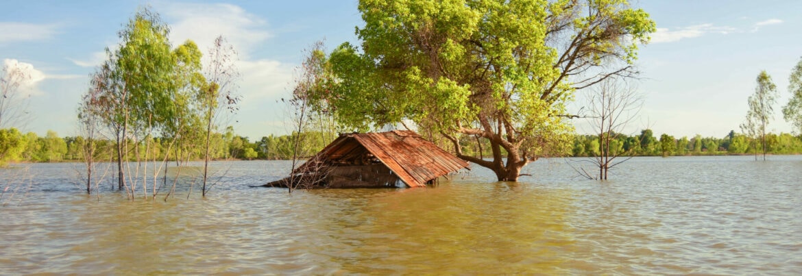 flooding due to deforestation case study