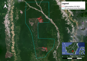  Deforestation Within PT Industrial Forest Plantation’s Concession in Between April to June 2022 