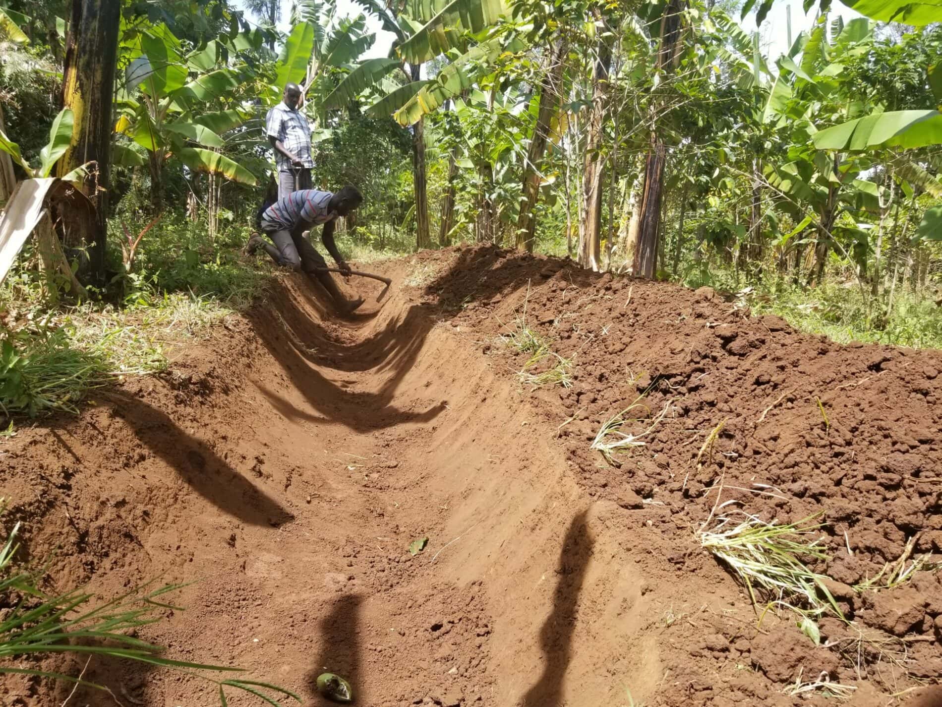 Rainwater harvesting helps address soil erosion, soil fertility, and ...