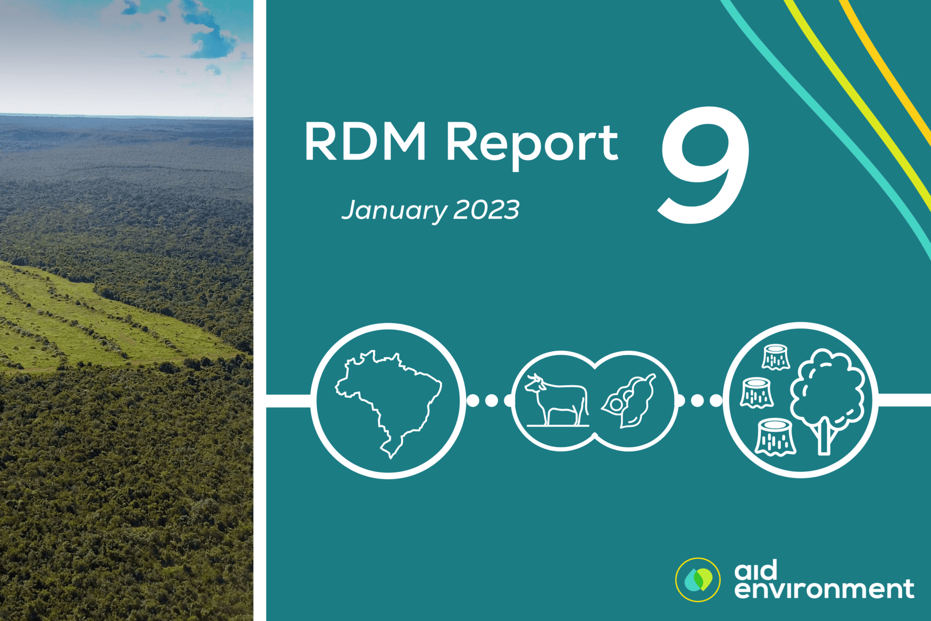 Realtime Deforestation Monitoring Report (RDM 9) - January 2023 ...