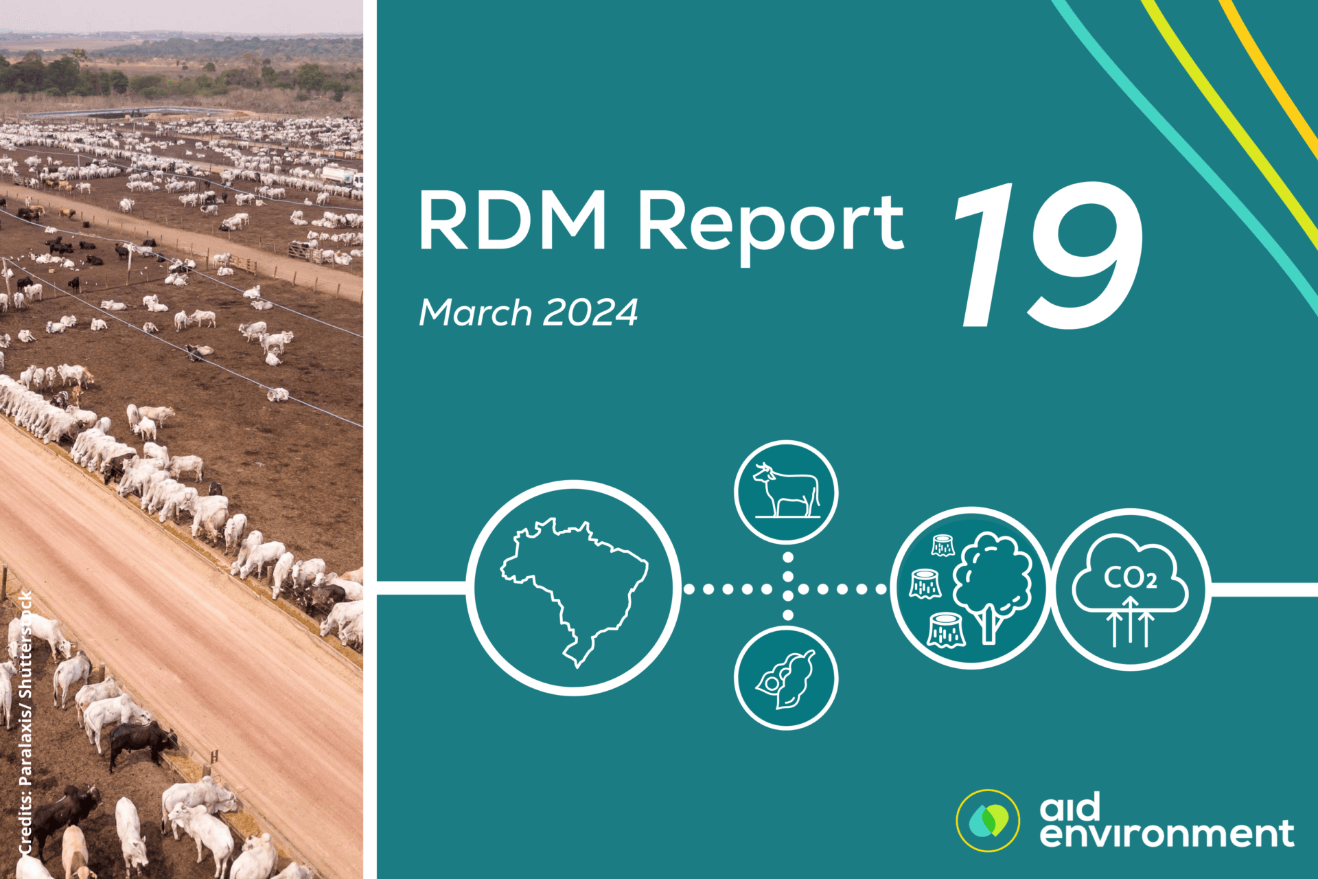 Realtime Deforestation Monitoring Report (RDM 19) – March 2024 ...