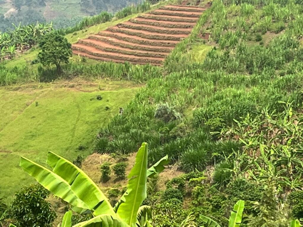 Demonstration of soil and water conservation and afforestation practices for communities in Kabuyanda