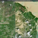 Aceh Tamiang inundated with floods from Cyclone Senyar illustrates link to deforestation