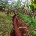 Soil and Water Conservation to Combat Desertification and Drought